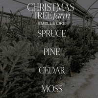 Sweet Water Decor Christmas Tree Farm Soy Candle Scent Description