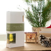 Evergreen Pine Botanical Reed Diffuser