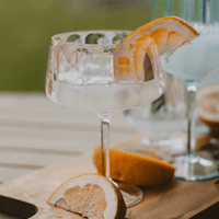 Sweet Water Decor Outdoor Plastic Coupe Drinkware