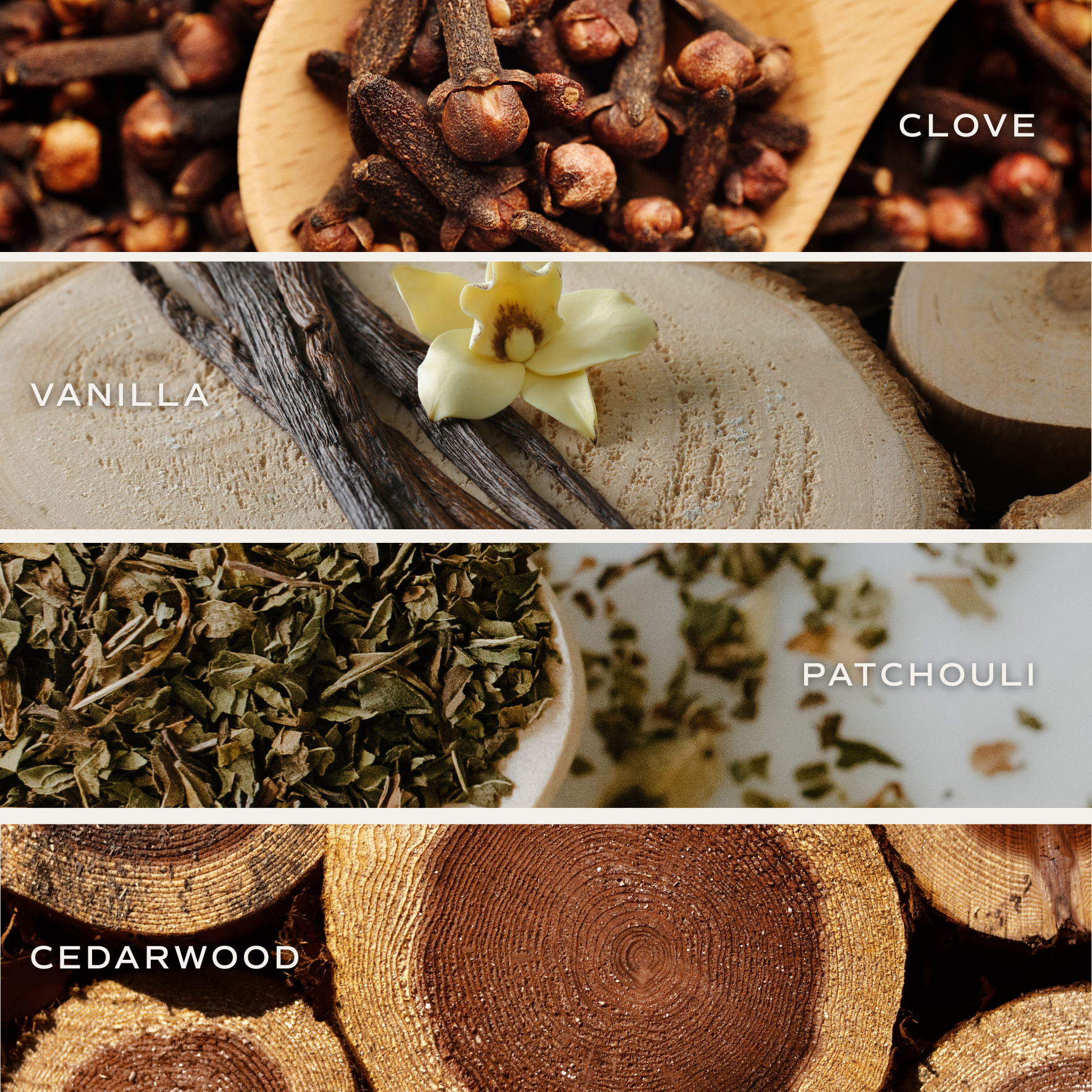 Sweet Water Decor Palo Santo Patchouli Soy Candle - Tan Matte Jar - 15 oz
