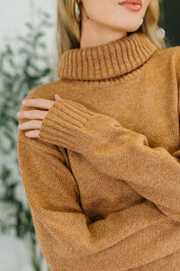 Cozy Companion Turtleneck Dress in Camel