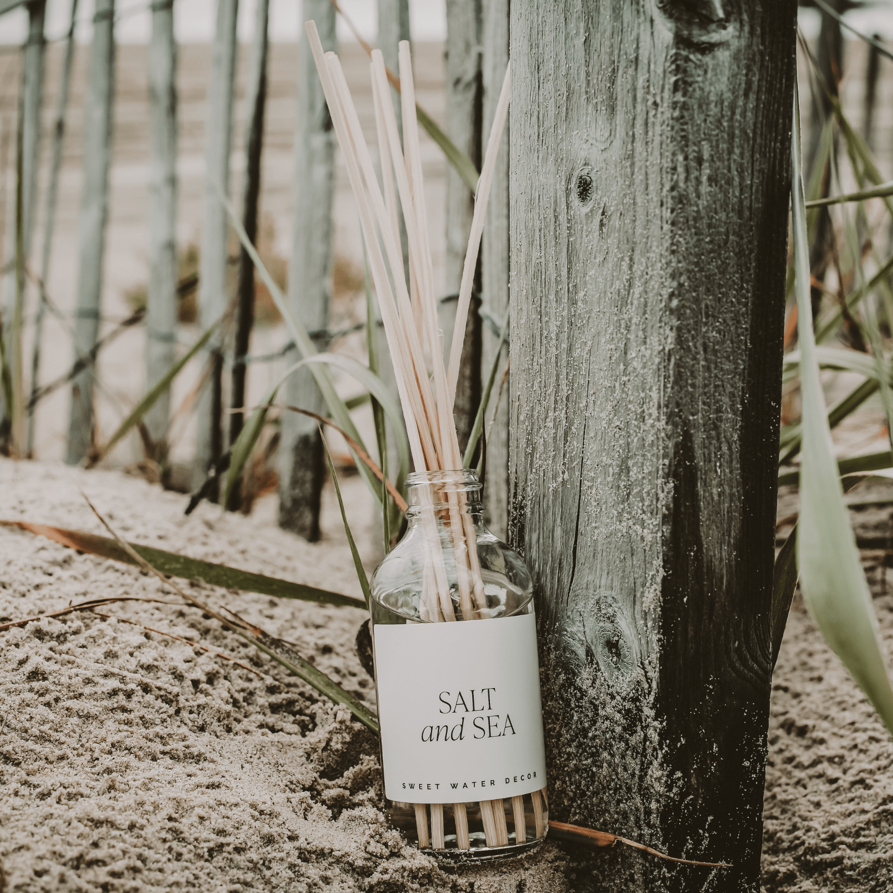 Sweet Water Decor Salt and Sea Clear Reed Diffuser