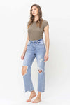 VERVET by Flying Monkey 90's High Rise Distressed Straight Jeans