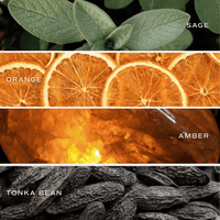 Sweet Water Decor Weekend Clear Reed Diffuser
